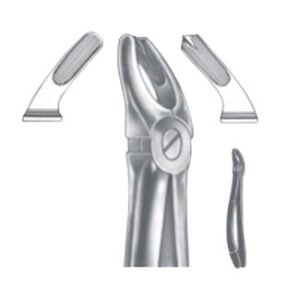 Extracting Forceps – English Pattern