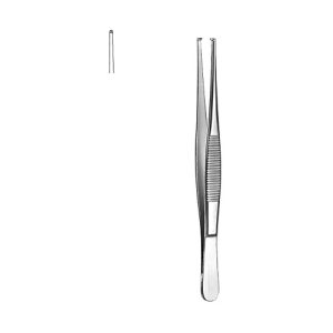 Dissecting Forceps
