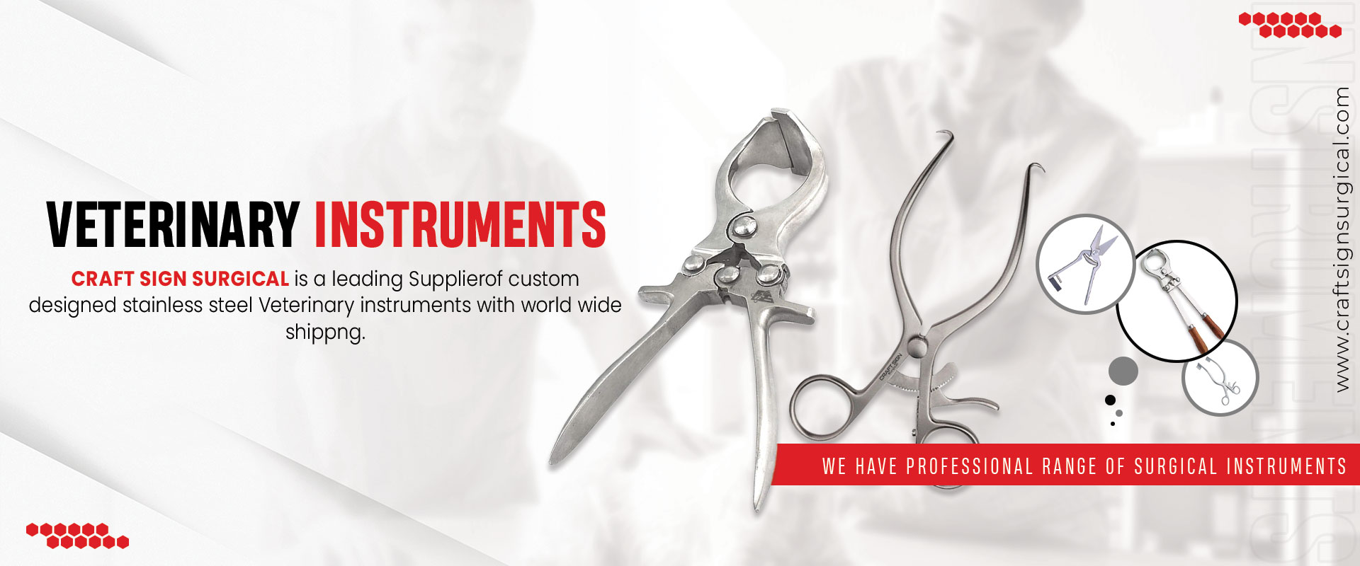 Veterinary Instruments